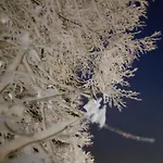 Idyllisches Сasa de vacaciones