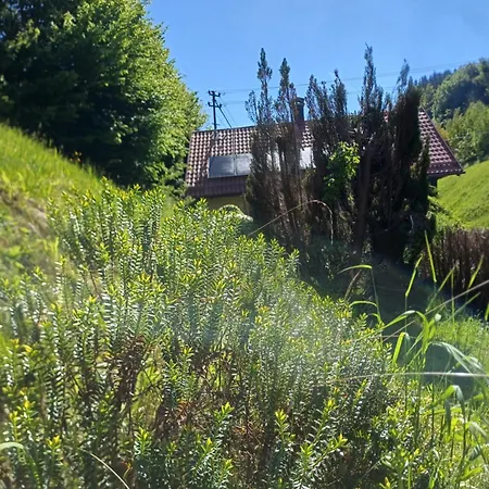 Idyllisches 度假居 *