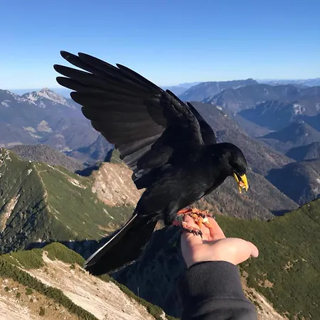 Idyllisches Grasberg