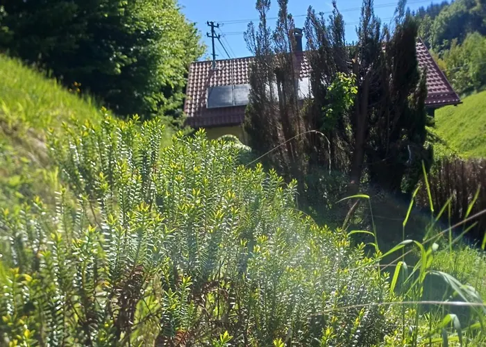 Idyllisches Prázdninový dům *