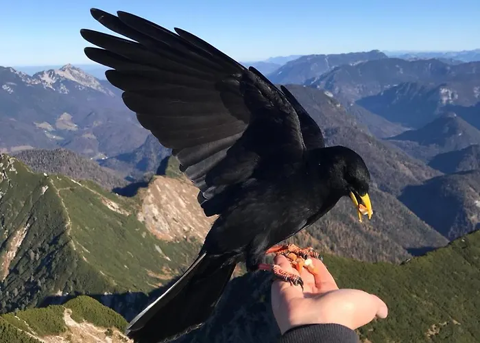 Idyllisches Grasberg